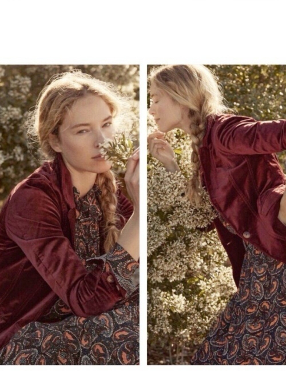 Anthropologie Velvet Blazer in Wine